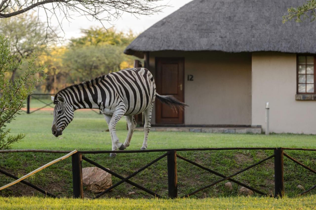 Mongena Private Game Lodge Rust de Winter Eksteriør billede