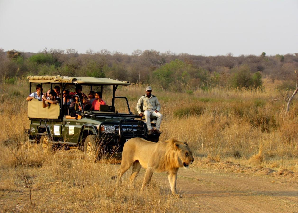 Mongena Private Game Lodge Rust de Winter Eksteriør billede