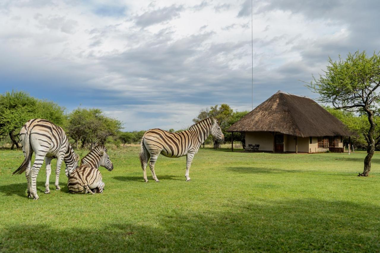 Mongena Private Game Lodge Rust de Winter Eksteriør billede