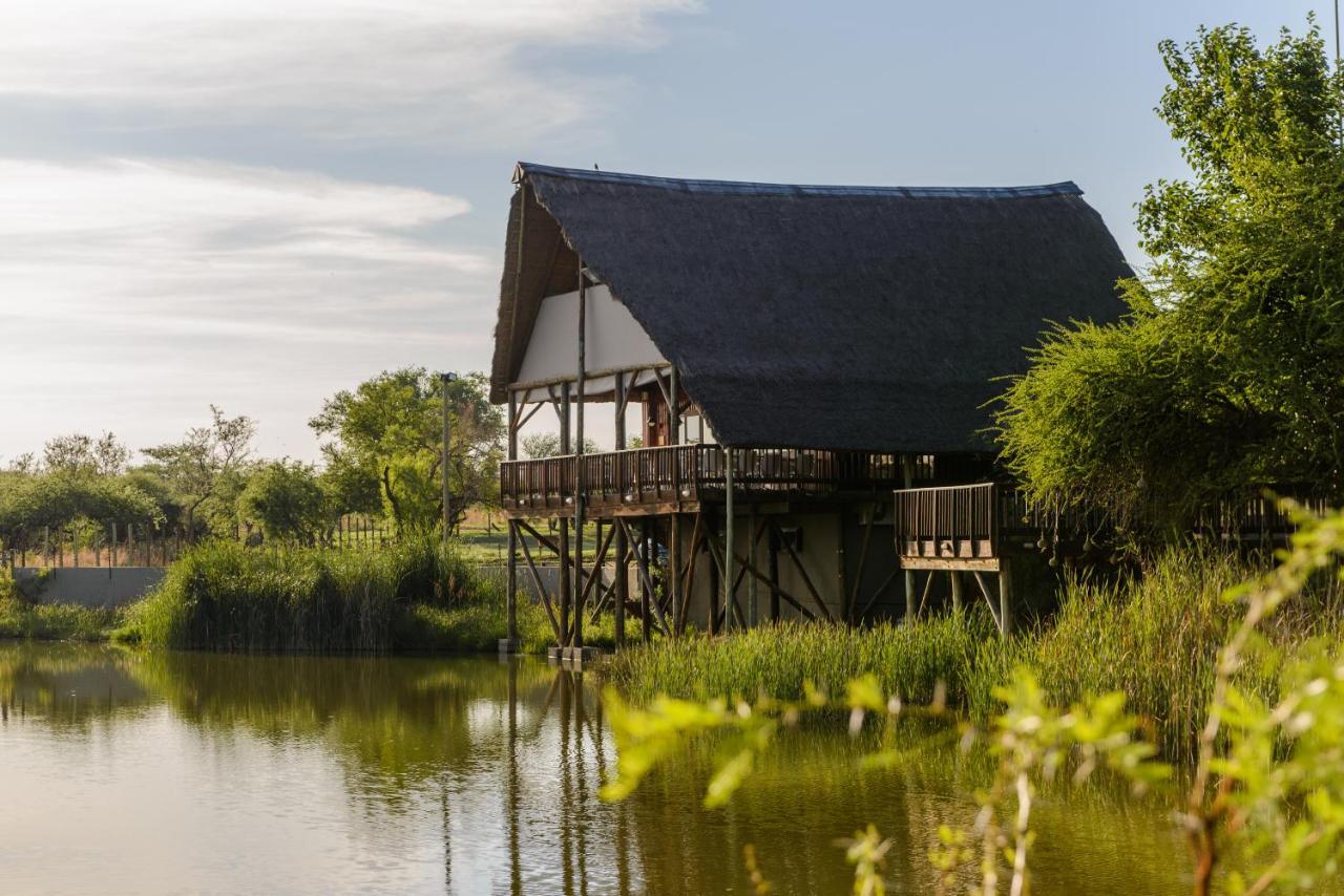 Mongena Private Game Lodge Rust de Winter Eksteriør billede